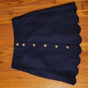 J Crew Skirt